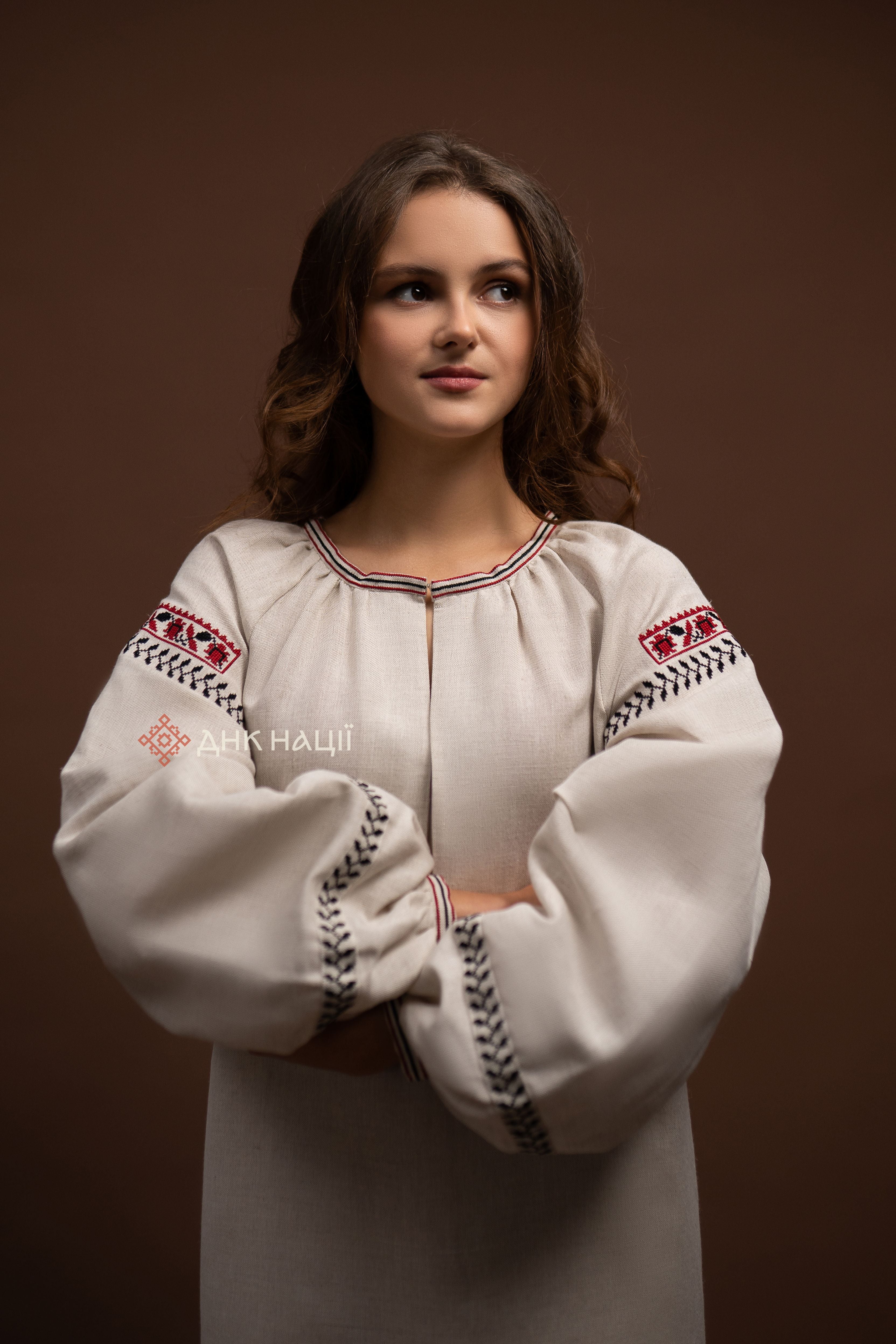 Embroidered Dress “Okrasa (1)” (Gray)