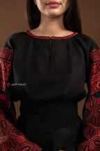 Embroidered Dress "Desna (4)" (black)