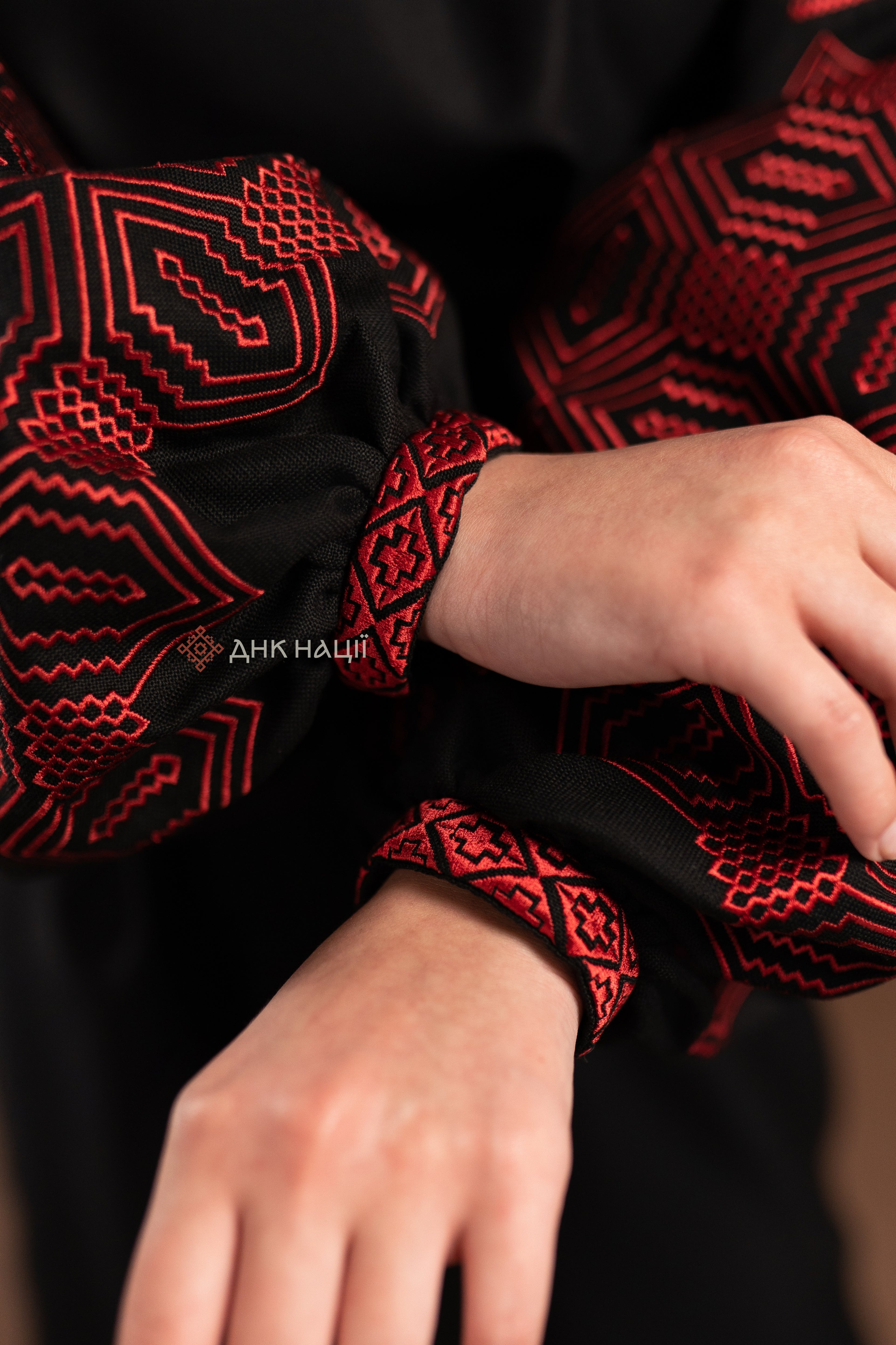 Embroidered Dress "Desna (4)" (black)