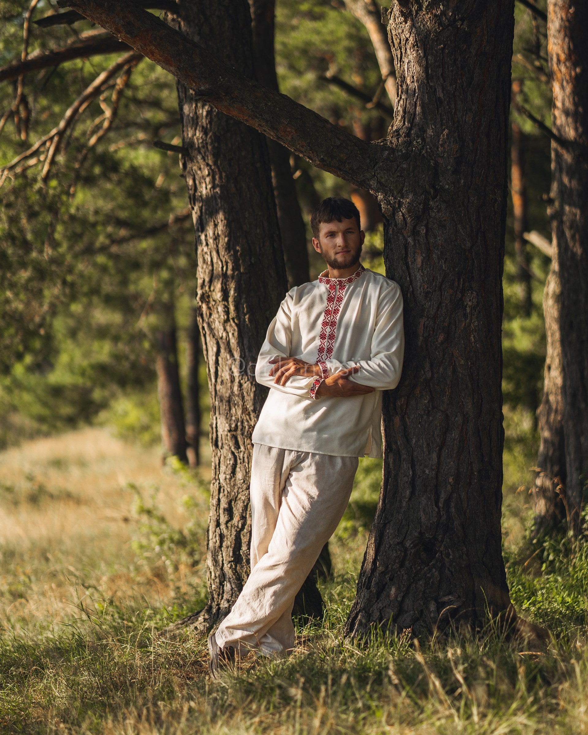 Вишиванка чоловіча "Княжа (1)"(молочна)