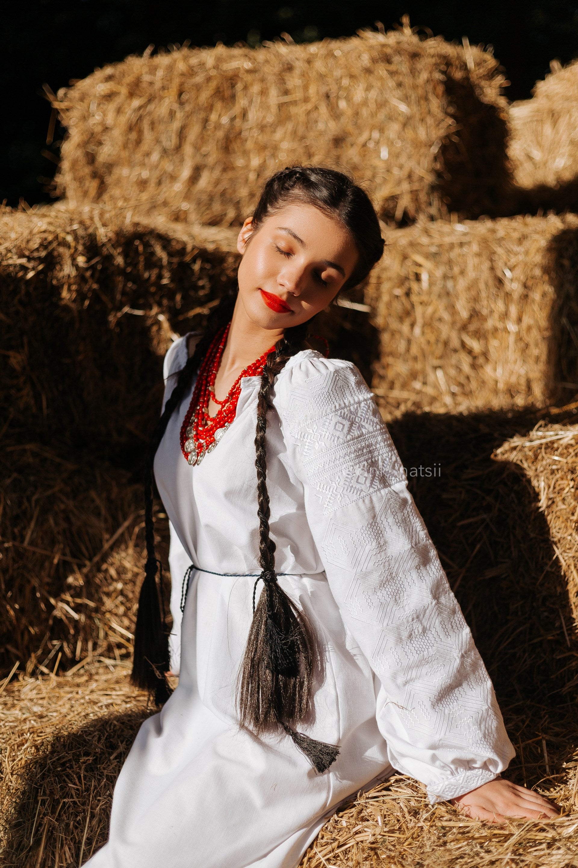 Вишита сукня "Десна (1)"(біла)