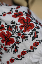 Вишиванка жіноча "Злагода (1)"(біла)